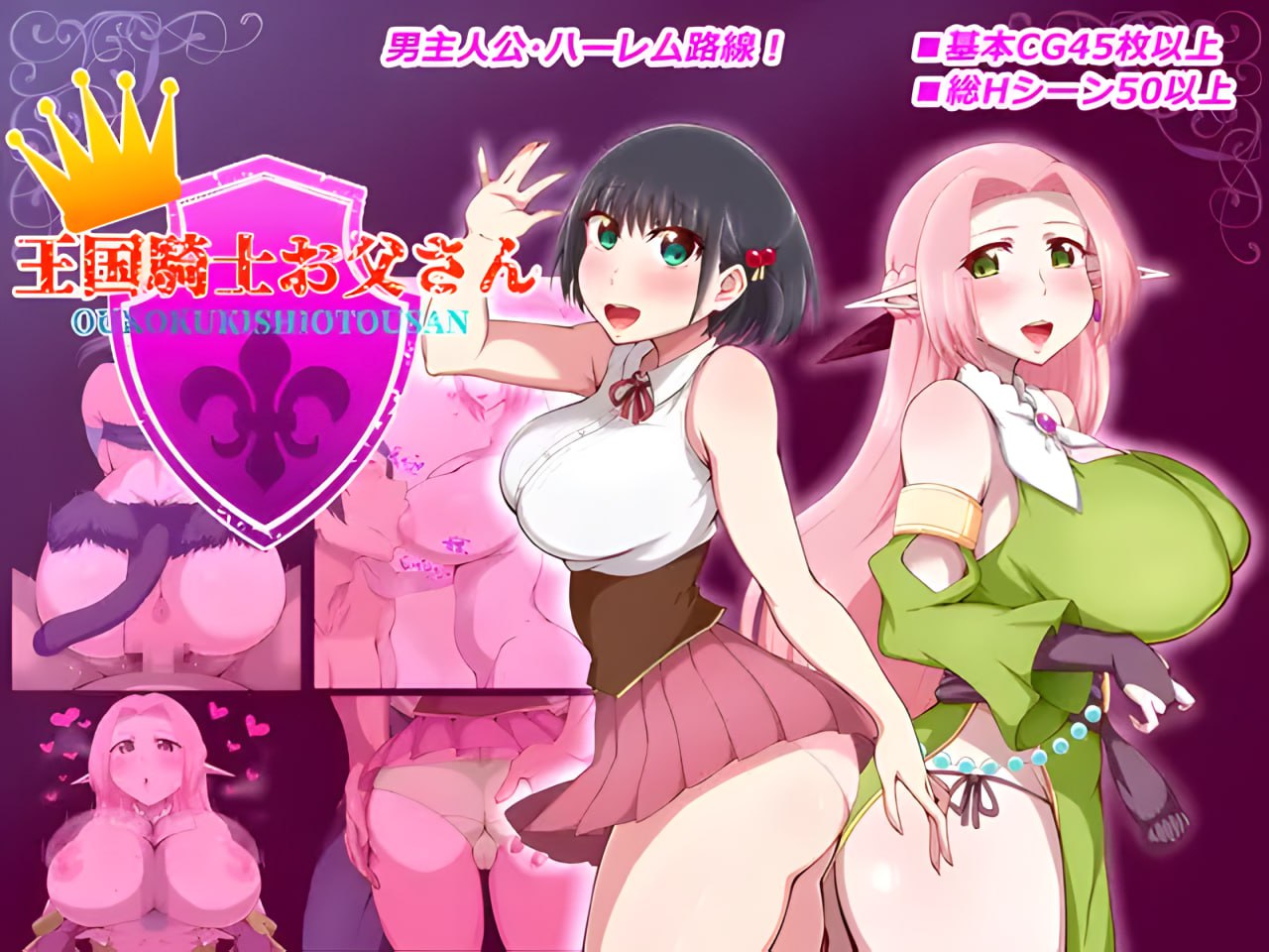 Kingdom Knight Dad (V1.01)