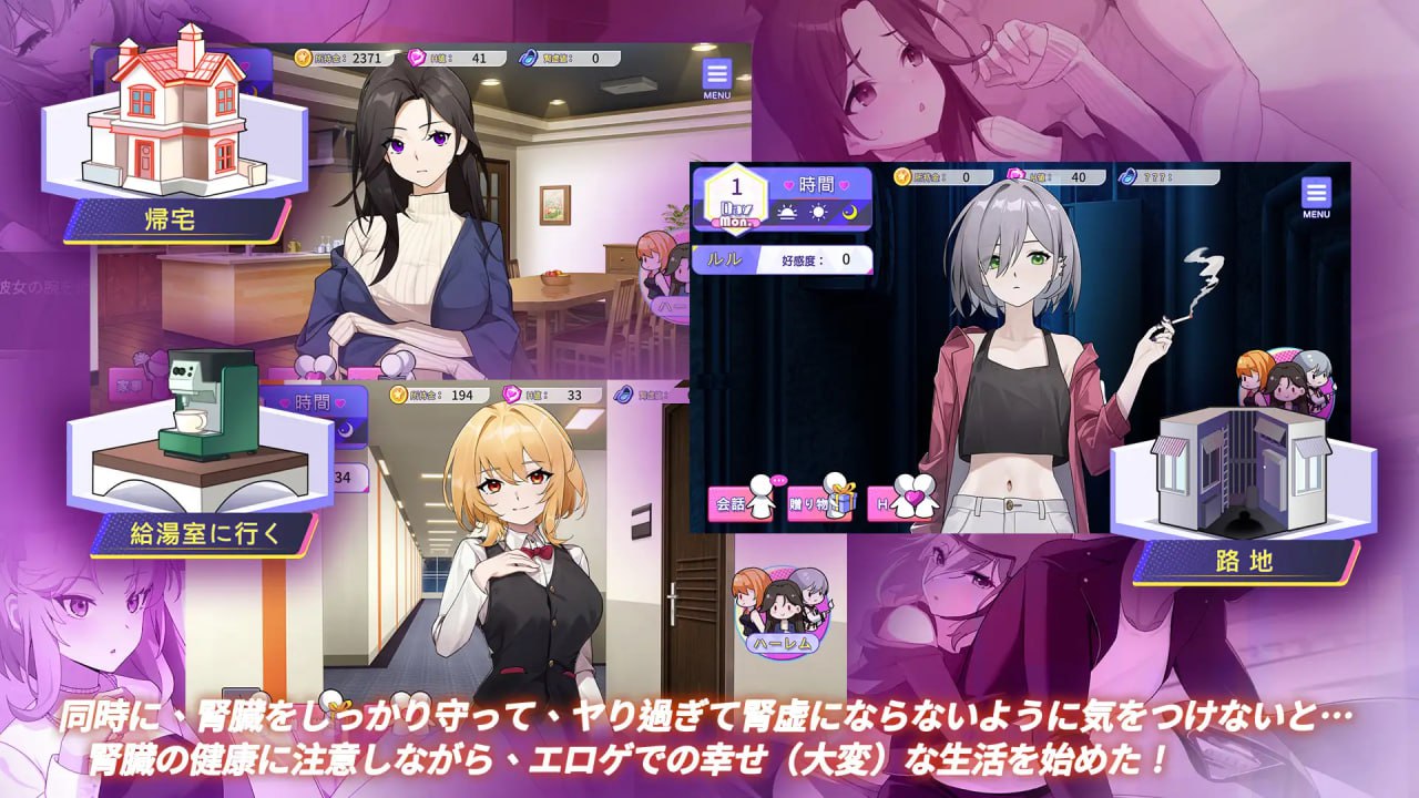 Travel through the adult game and build a harem