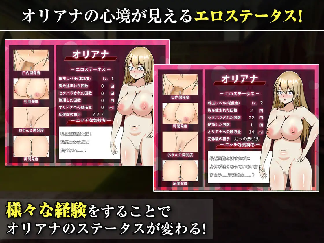 Oukoku no Yuukishi Oriana