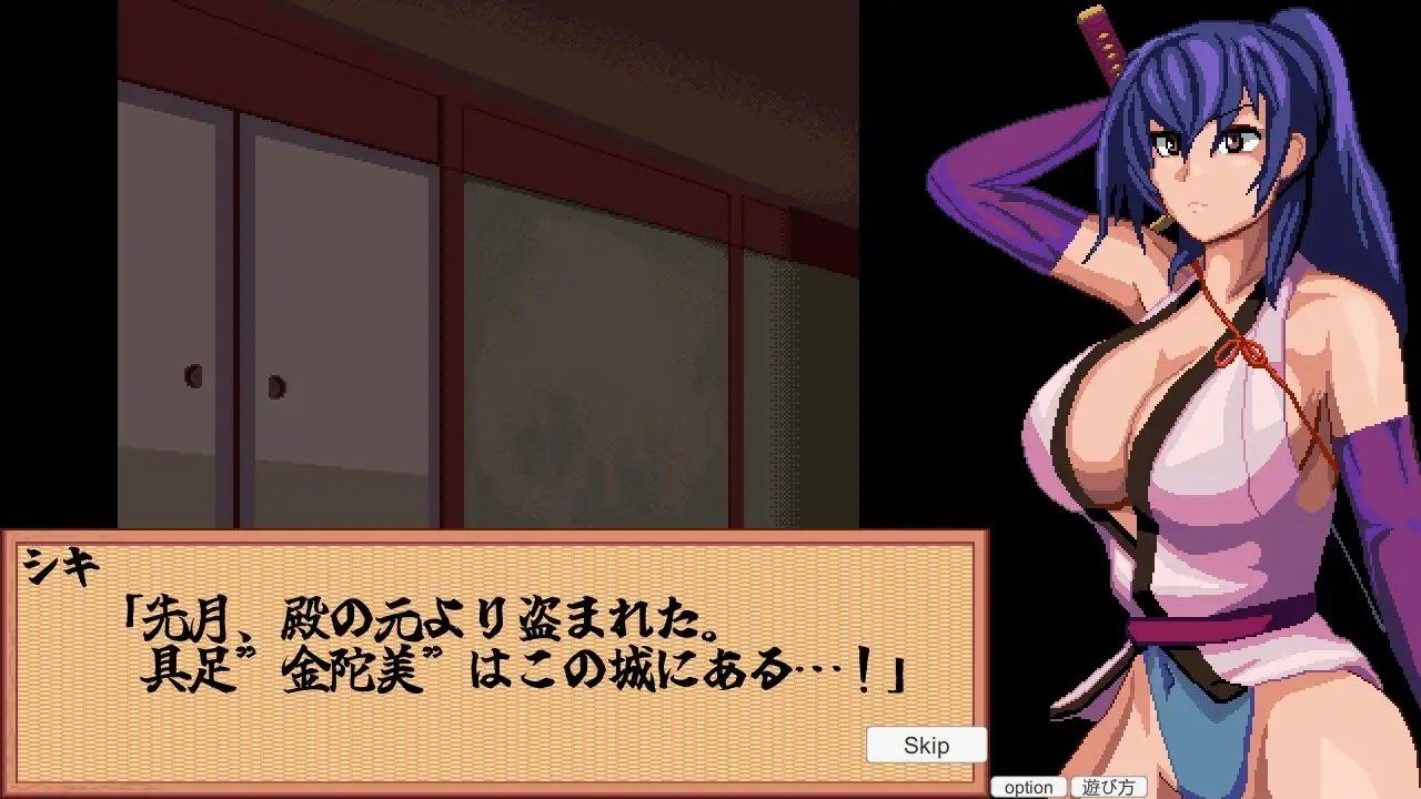 Advance! Special Investigation Kunoichi
